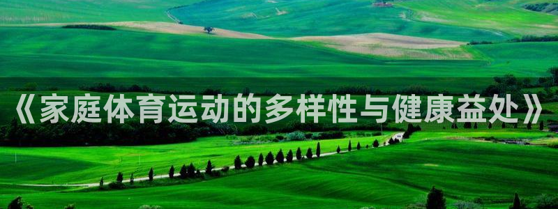 新球体育欧冠杯联赛资料：《家庭体育运动的多样性与健康益处》