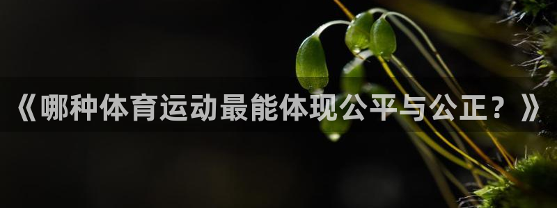 新球体育安卓版下载：《哪种体育运动最能体现公平与公正？》