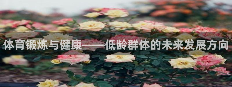 新球体育荷兰杯联赛资料：体育锻炼与健康——低龄群体的未来发展方向