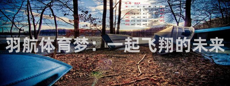 新球体育世预赛欧洲区：羽航体育梦：一起飞翔的未来