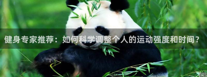 新球体育日乙积分榜：健身专家推荐：如何科学调整个人的运动强度和时间？