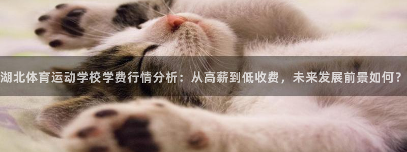 新球体育法甲：湖北体育运动学校学费行情分析：从高薪到低收费，未来发展前景如何？