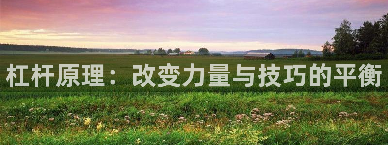 新球体育网球比分：杠杆原理：改变力量与技巧的平衡