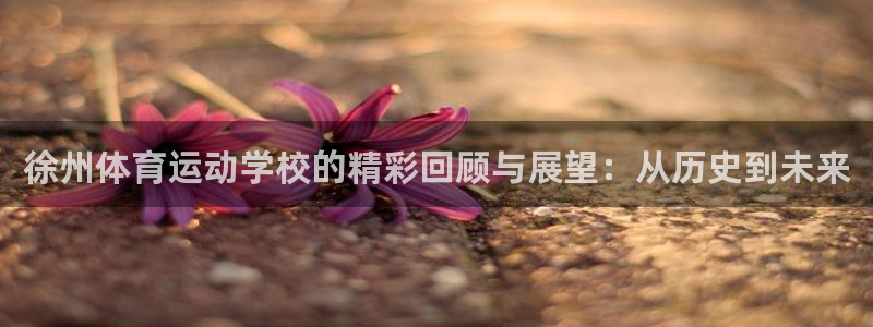 新球体育即时比分足球：徐州体育运动学校的精彩回顾与展望：从历史到未来