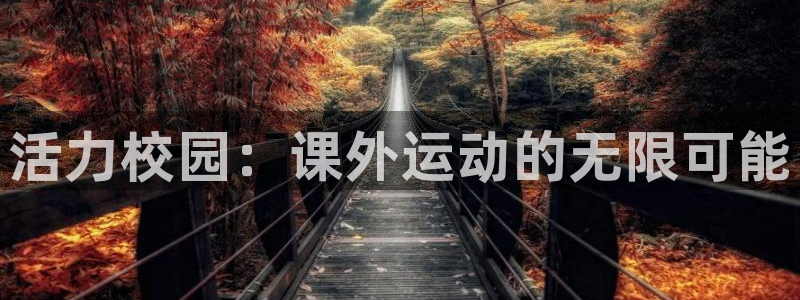 新球体育篮球比分即时比分：活力校园：课外运动的无限可能